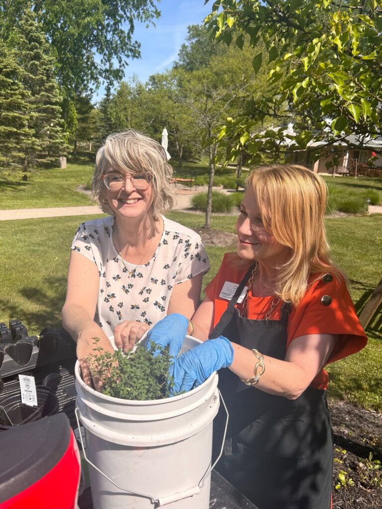 East Amherst gardening
